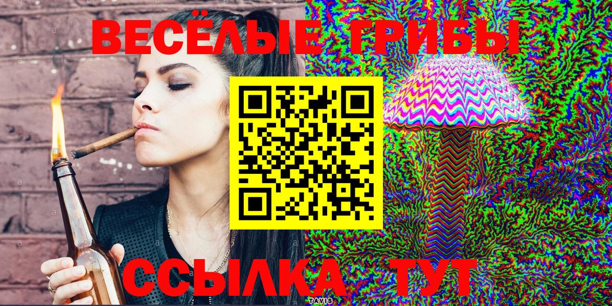 где можно купить наркотик  Вход с VPN  Алексеевка  Псилоцибиновые грибы прущие грибы 