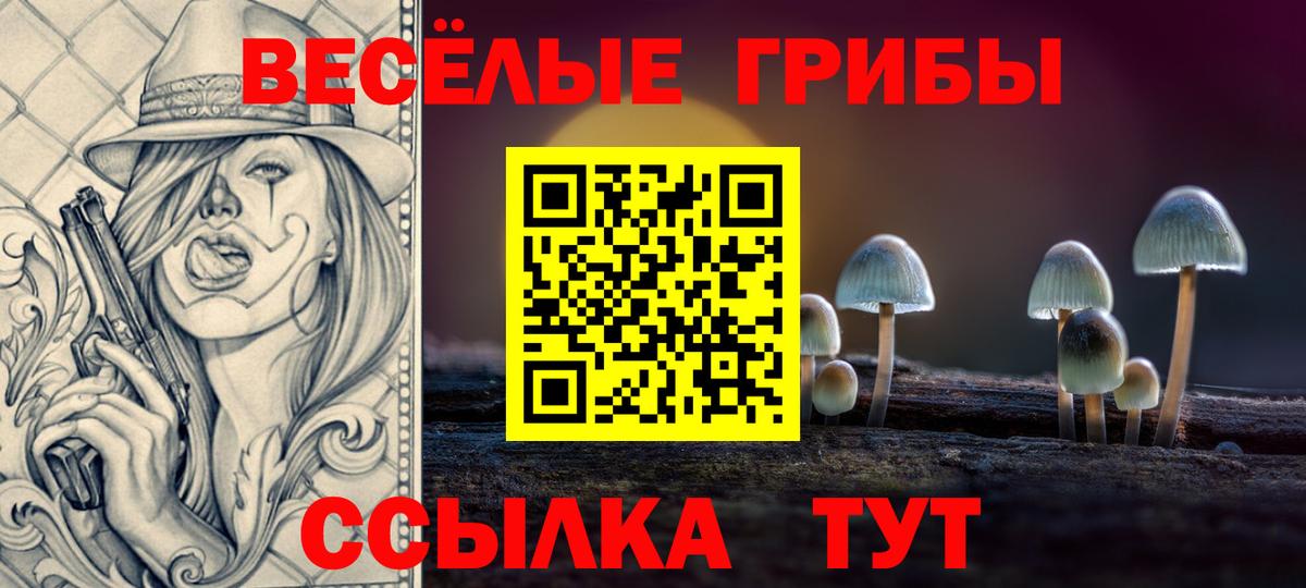 Псилоцибиновые грибы прущие грибы Алексеевка